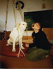 Therapie mit Hund - Komplexe Aktion